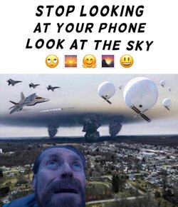 11m3MEME130223.jpg