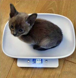 satan.png