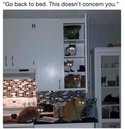 DAD82F43-F941-45C0-83AA-82320A64B290.jpeg
