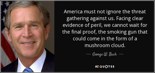 bushmushroomcloud.jpg