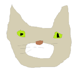 Untitled.png