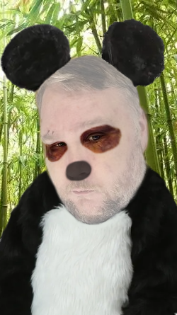 panda.png