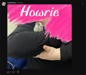 Screenshot 2023-02-15 at 08-02-26 Foodie Beauty - YouTube.png
