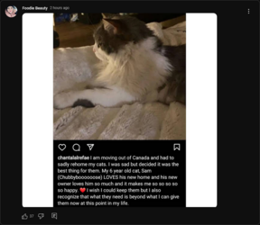 Screenshot 2023-02-15 at 08-02-47 Foodie Beauty - YouTube.png