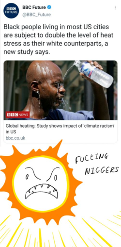 3138593-a95b03a0046e9d5c867414442aeb6d56.png