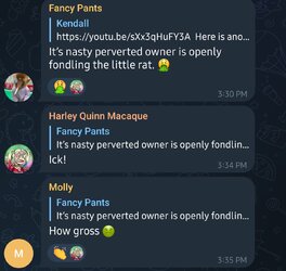 Screenshot_20230214-154754_Telegram.jpg