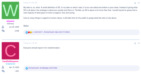 sswikipedia1.png