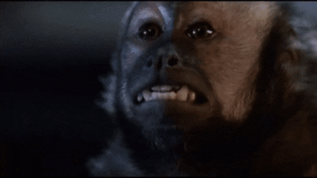 ella.gif