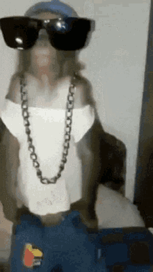 monkey-cool.gif monkey-cool.gif