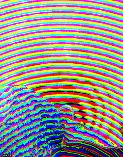 blowmeseizuretards.gif