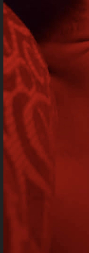 1676487855426.png