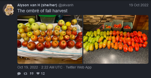 1676513610934.png