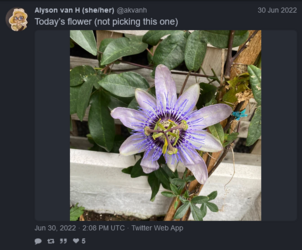 1676514033193.png
