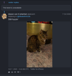 1676516968952.png