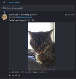 1676517203456.png