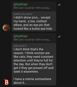 image22.jpeg