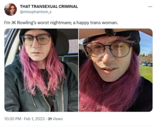 Screenshot 2023-02-16 at 14-26-05 THAT TRANSEXUAL CRIMINAL on Twitter I'm JK Rowling's worst n...png