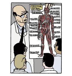 Brad Neely scientific depiction of the asshole.jpg