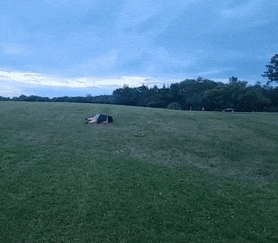 ezgif.com-gif-maker - 2022-08-15T192412.787.gif