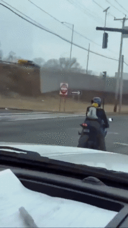 bea2cf6e89.gif