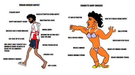 1676618620589.png