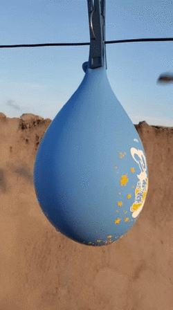 B3D2D883-9331-4894-AEC1-4011B1A4BD4F.gif