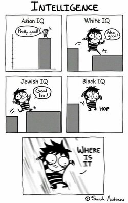 sqfexnjj0t8y.jpg