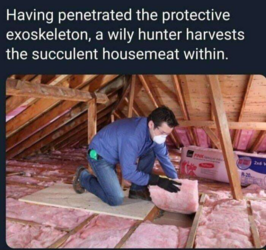 1676662783026.png