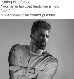 bd5.png
