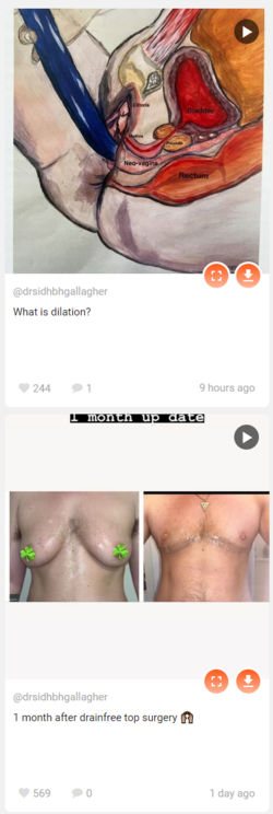 1676676419080.png