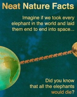 Neat Facts.jpg