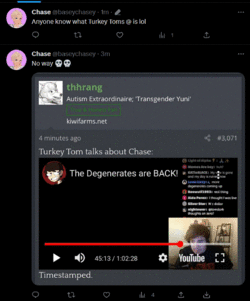 Screenshot 2023-02-17 191457.gif