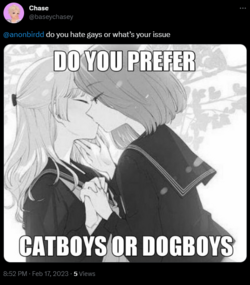 1676685868654.png