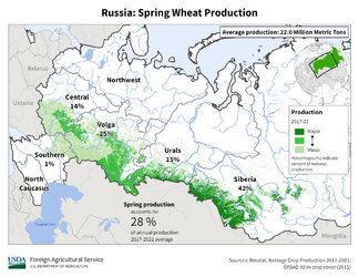 Russia_Spring_Wheat.jpg