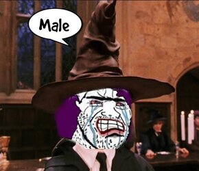 male.jpg