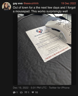 gay eva (@eeevuhhhh) Out of town for a the next few days and I forgot a mousepad. This works s...png