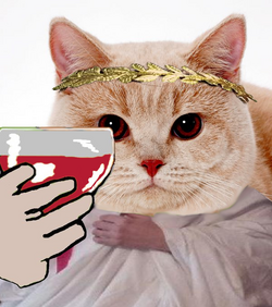 1676752101724.png