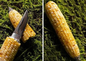 Corn-Shiv.jpg