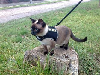 ctJqlRyLPu4SNIbDfESynoUZwUrrqCmecrZA_6VfU3k (3).jpg