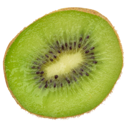55E62C24-A086-46A6-A778-9187A799BBB9.png
