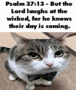20230218_110838.png