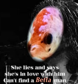 52D5A4A8-2C1E-4DD4-94BA-3B9FB499EB4B.jpeg