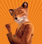MrFox.jpg