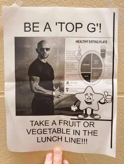 332304552_1380215452817487_2848179879702743388_n.jpg