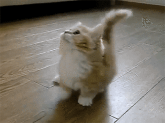 tumblr_m99xlseA921rxye79o1_400.gif