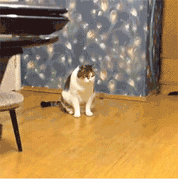 gatigats2_large.gif
