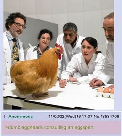332478685_1935392330129046_2114137892892220425_n.jpg