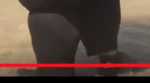 Screen Shot 2018-05-26 at 11.58.36 AM.png