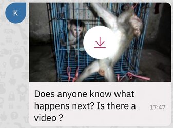 Screenshot_20230221-184729.jpg