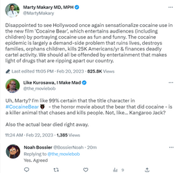 bear.png